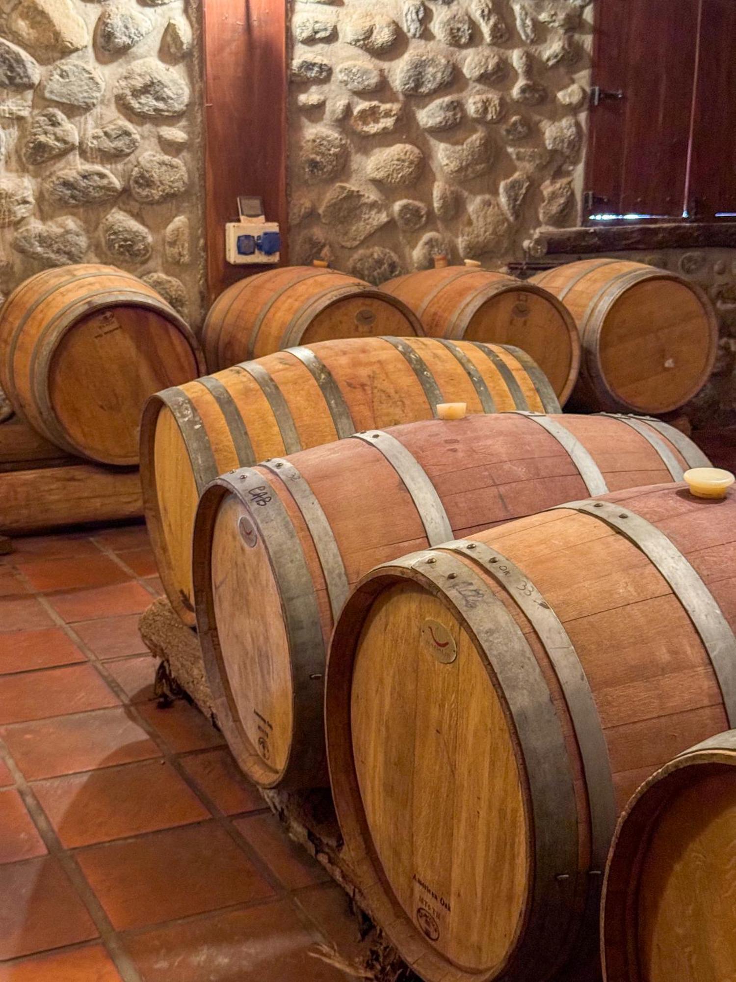 La Casa De La Bodega - Wine Boutique Hotel Cafayate Luaran gambar