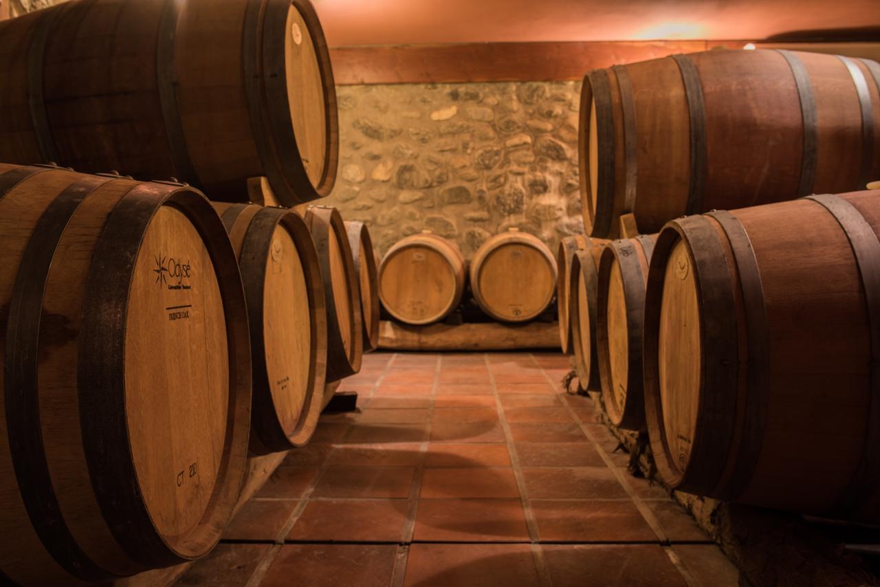 La Casa De La Bodega - Wine Boutique Hotel Cafayate Luaran gambar
