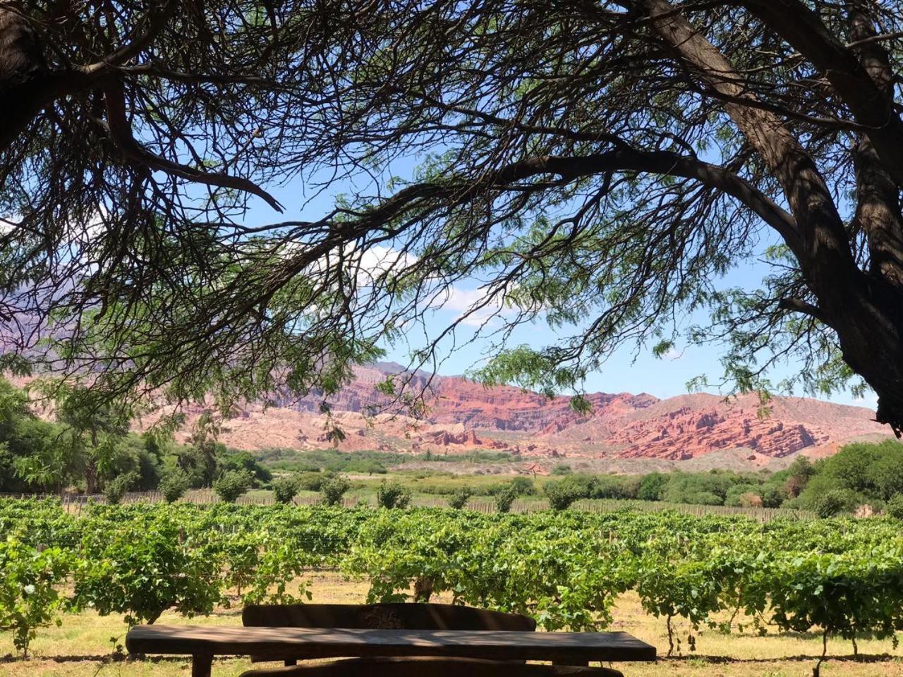 La Casa De La Bodega - Wine Boutique Hotel Cafayate Luaran gambar